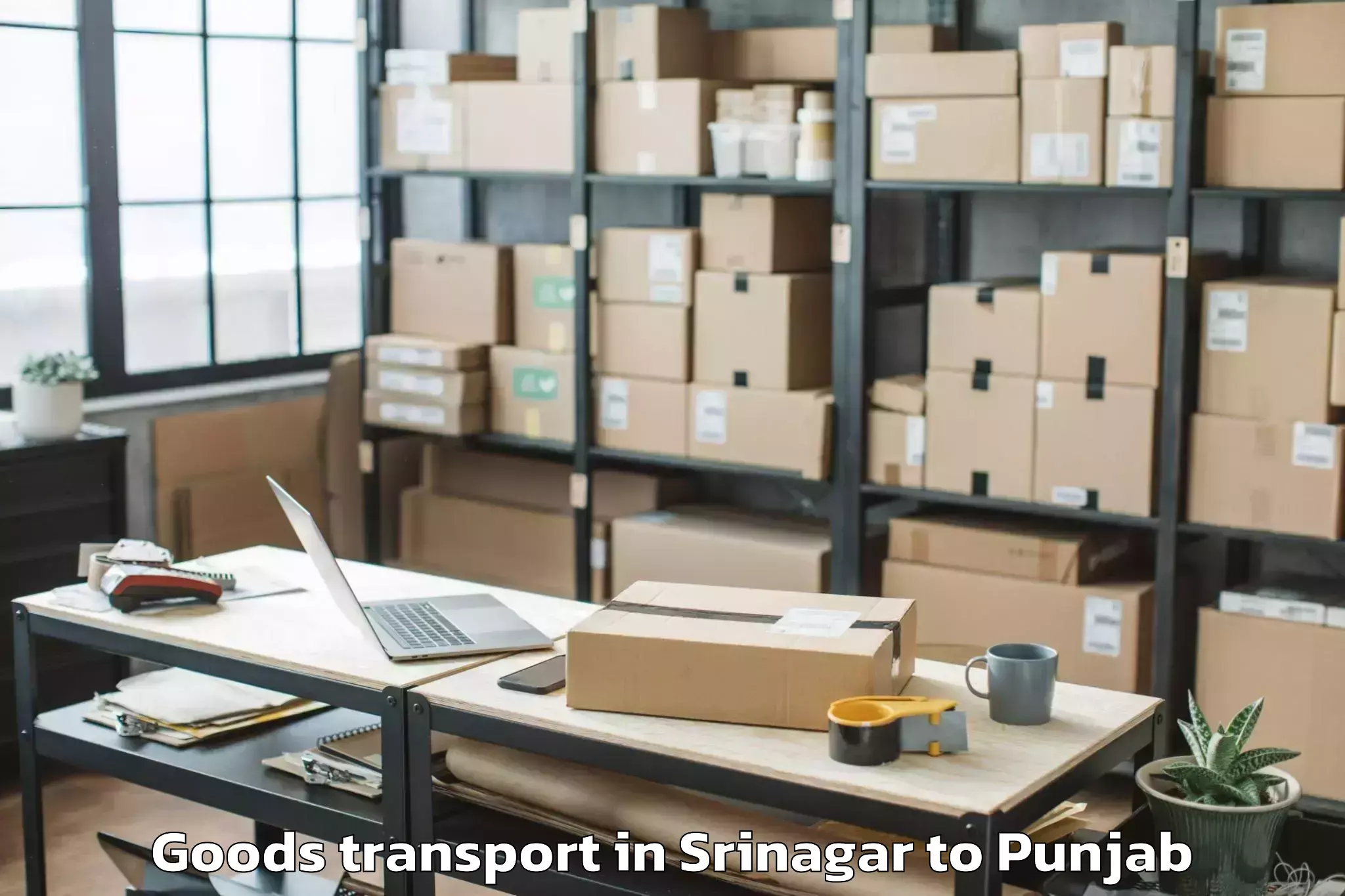 Reliable Srinagar to Phillaur Goods Transport